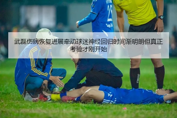武磊伤病恢复进展牵动球迷神经回归时间渐明朗但真正考验才刚开始